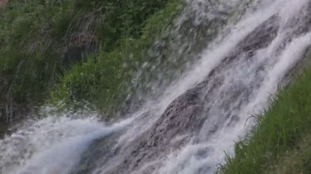 Mountain stream — Stock Video