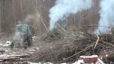 Orman ağacı traktör