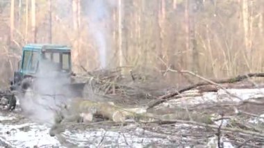 Orman ağacı traktör