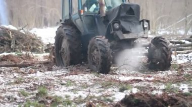 Orman ağacı traktör