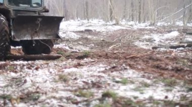 Orman ağacı traktör