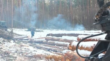 Ormanda çalışan hasatçı.