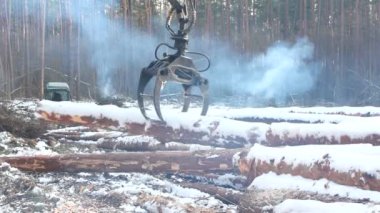 Ormanda çalışan hasatçı.