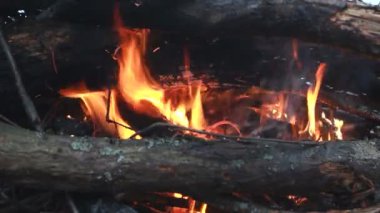 Ormanda şenlik ateşi