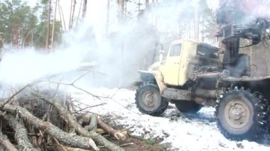 Ormanda çalışan hasatçı.