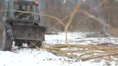 Orman ağacı traktör