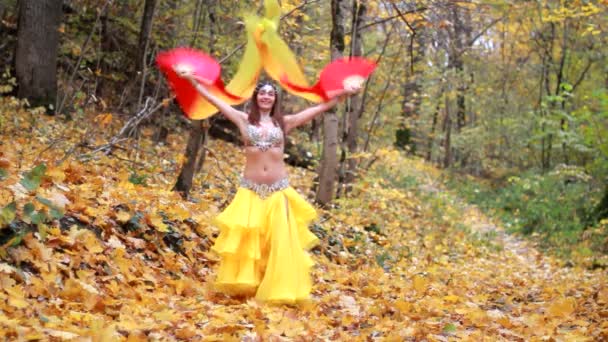 Sonbahar parkta dans kızı — Stok video