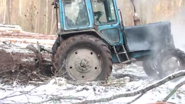 Lesní strom traktor — Stock video