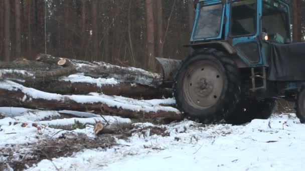 Tractor de árbol forestal — Vídeos de Stock