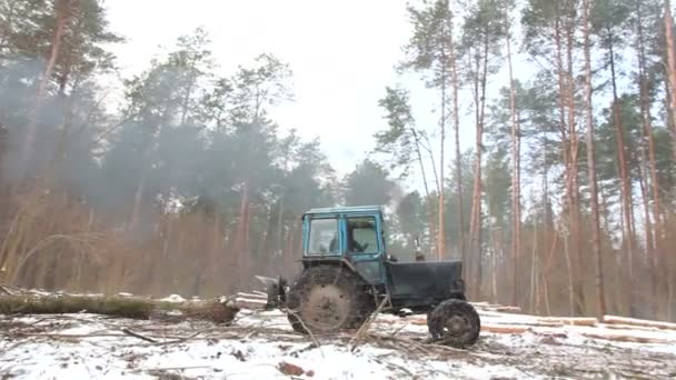 Tractor de árbol forestal — Vídeos de Stock