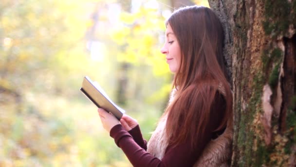 Menina bonita com livro no parque de outono — Vídeo de Stock