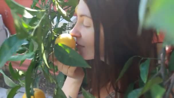 Woman picking up a fresh orange from tree — Stock Video