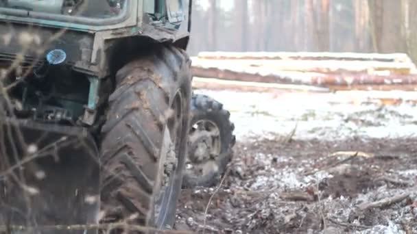 Tractor de árbol forestal — Vídeos de Stock