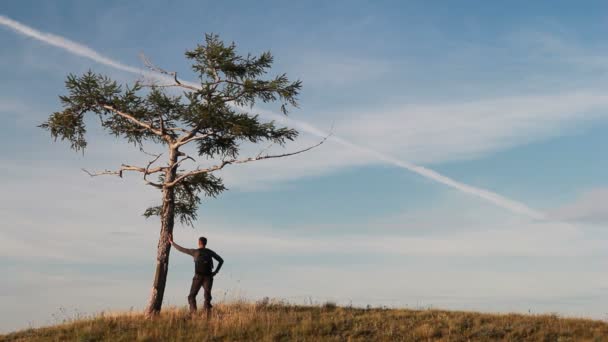 Uomo solo e solitario albero — Wideo stockowe