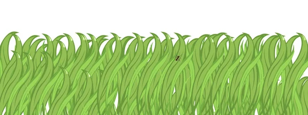 Sfondo erba verde — Vettoriale Stock