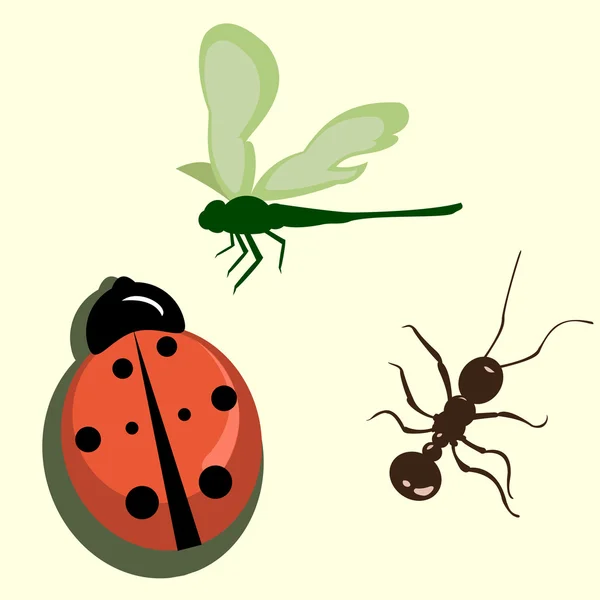 Zestaw różnych owadów — Wektor stockowy