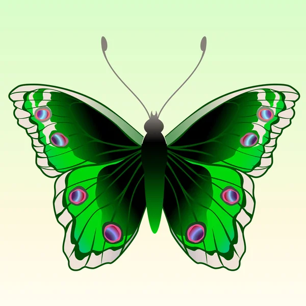 Mariposa. — Vector de stock