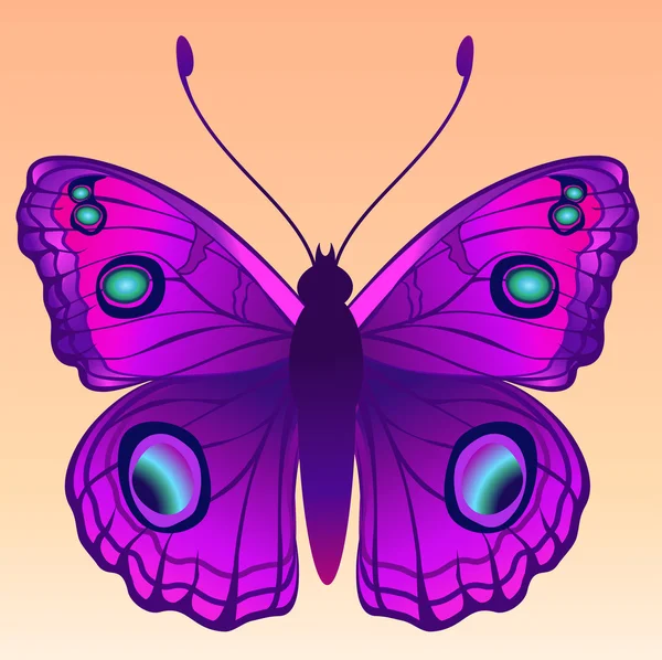 Mariposa. — Vector de stock