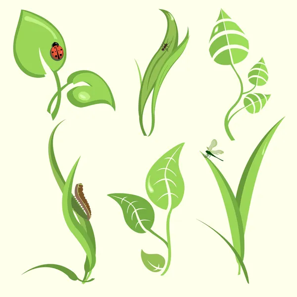 Hojas de plantas — Vector de stock