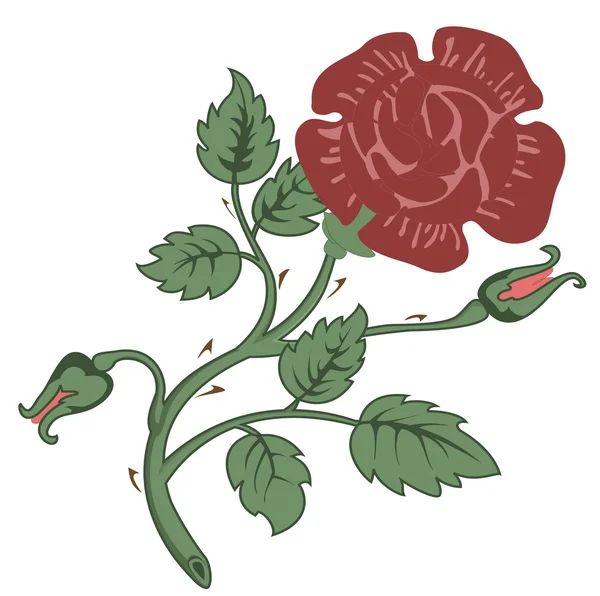 Belle rose — Image vectorielle