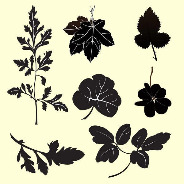 Växter silhuetter — Stock vektor