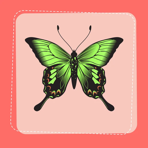 Kelebek — Stok Vektör