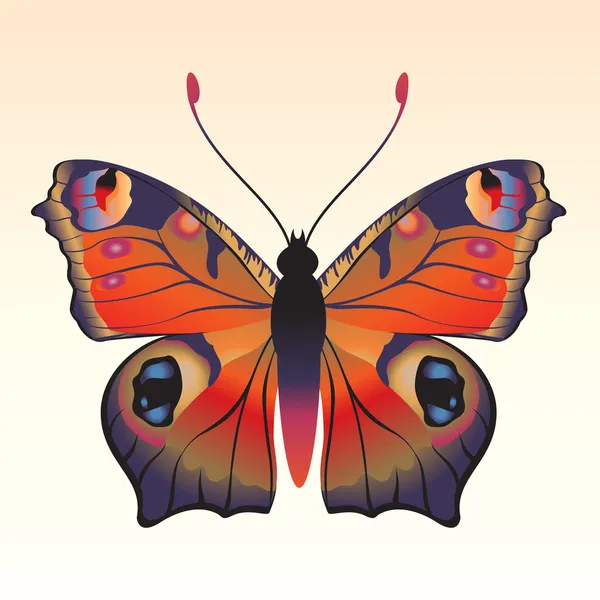Butterfly Royalty Free Stock Vectors