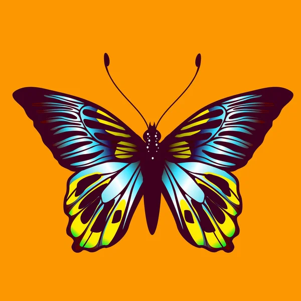 Mariposa. — Vector de stock