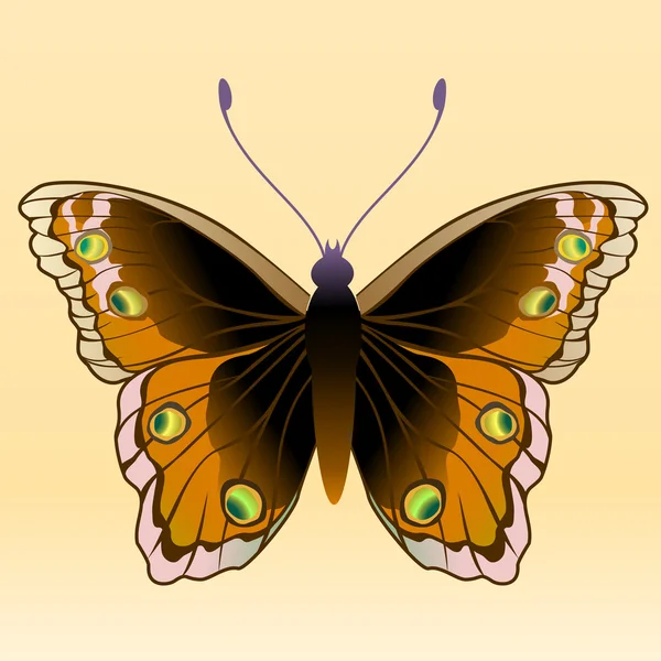 Papillon — Image vectorielle