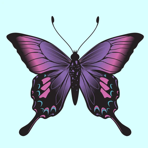 Mariposa. — Vector de stock