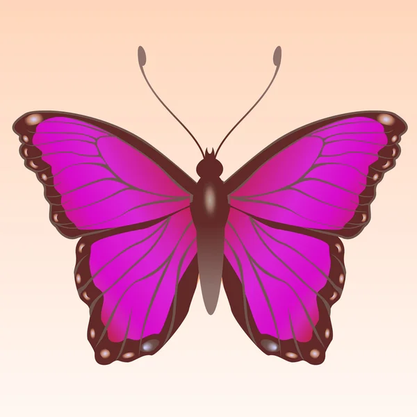 Mariposa. — Archivo Imágenes Vectoriales