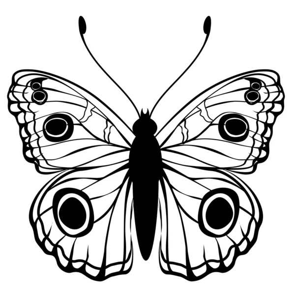 Mariposa. — Archivo Imágenes Vectoriales