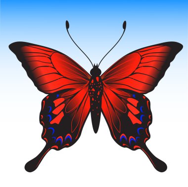 Kelebek