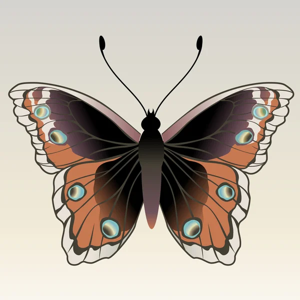 Papillon — Image vectorielle