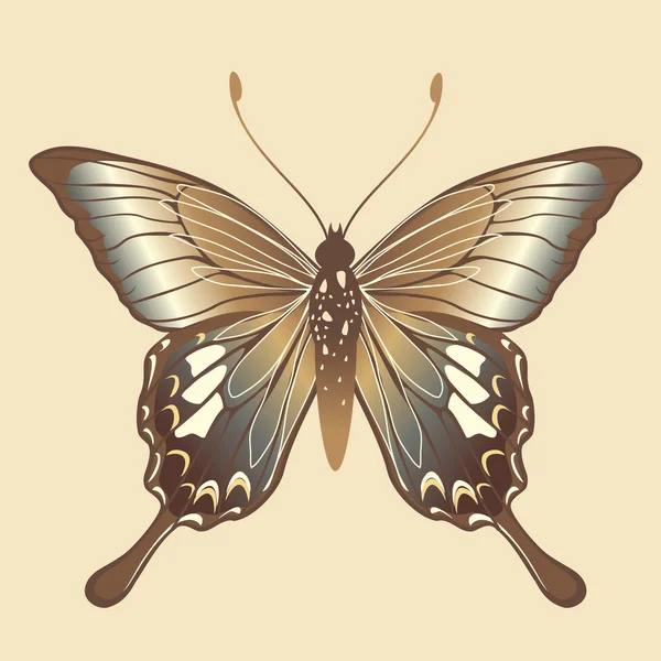 Papillon — Image vectorielle