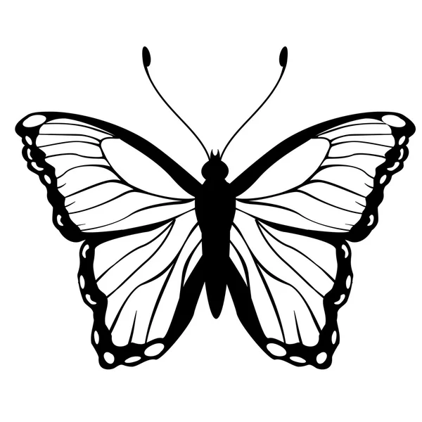 Mariposa. — Vector de stock