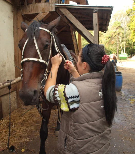 Girl and horse — Stock Photo, Image