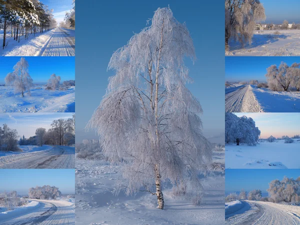 Winter collage — Stockfoto