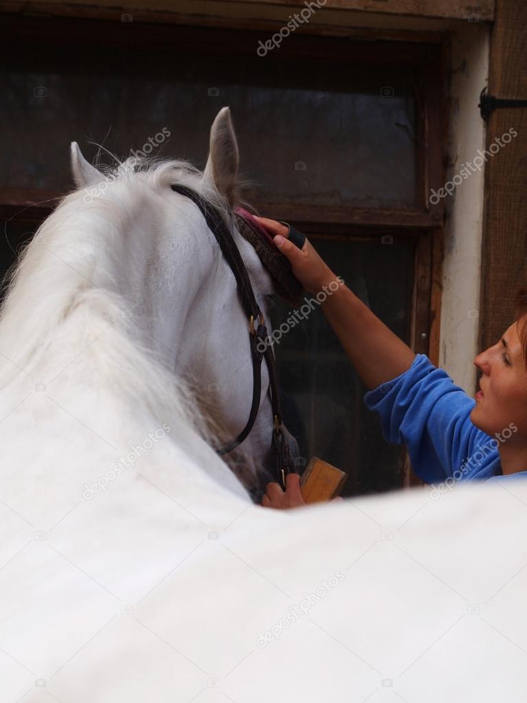 Woman combing horse