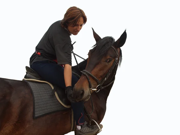 Girl treats the horse — Stock Photo, Image