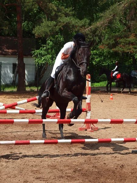 Girl jumping on a horse — Stock Photo, Image