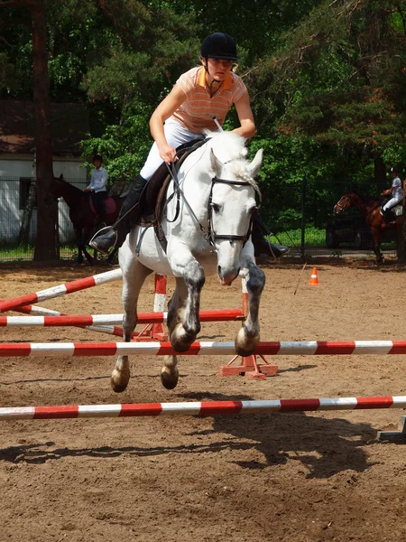 Девушка прыгает на лошади — стоковое фото
