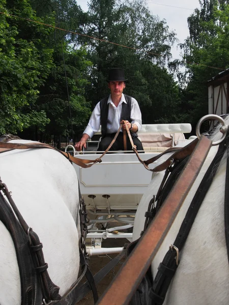 El conductor controla a la tripulación — Foto de Stock