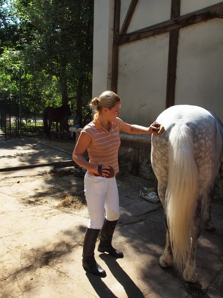 Chica limpia caballo — Foto de Stock