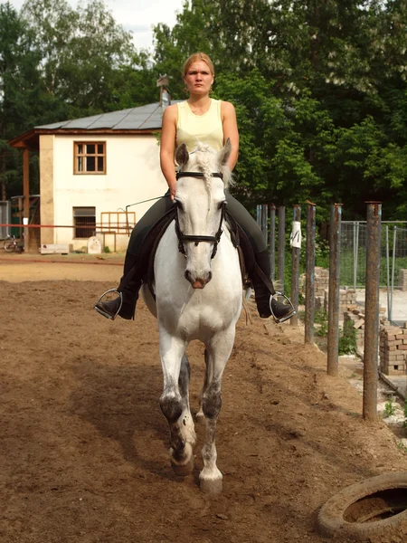 Una chica montando un caballo gris Imágenes de stock libres de derechos