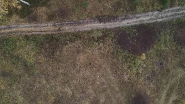 Drone Survolant Paysage Rural Automne Tirer Sous Angle — Video