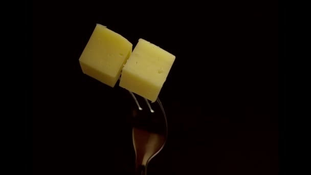 Parça Taze Peynir Koyu Bir Arkaplanda Dönüyor Taze Atıştırmalık Konsepti — Stok video