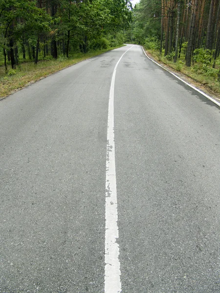 Carretera en bosque vertical — Foto de Stock