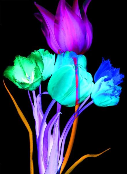 Abstracte bloem achtergrond. Tulpen — Stockfoto