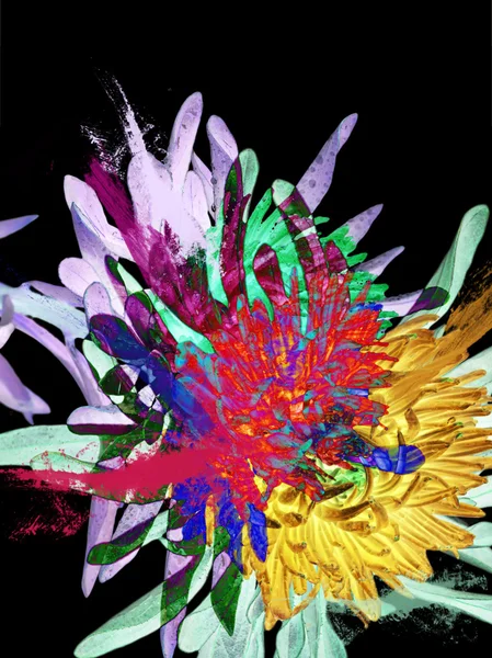 Abstrakte Blume Hintergrund. Aster — Stockfoto